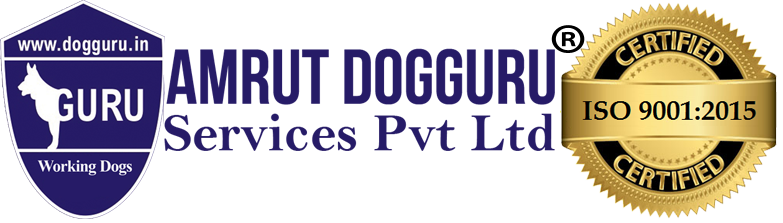 Amrut Dogguru Services Pvt Ltd
